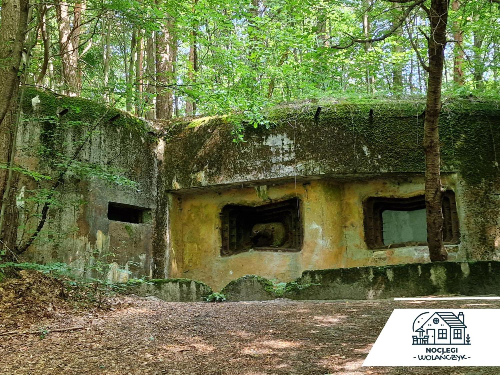 Wola Wielka - Domki Wygoda Nr2 Narol Extérieur photo
